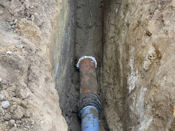 Best Flood damage cleanup  in Torrington, CT