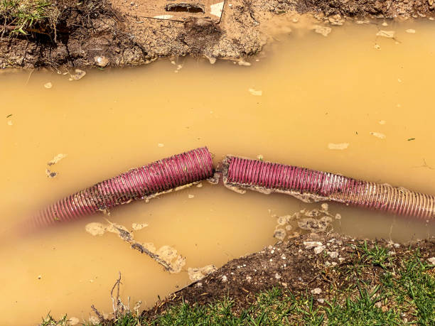 Best Sewage cleanup and water damage restoration  in Torrington, CT